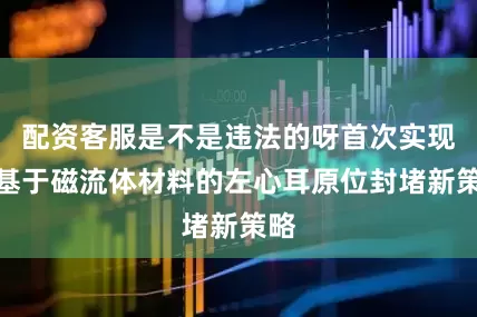 配资客服是不是违法的呀首次实现了基于磁流体材料的左心耳原位封堵新策略
